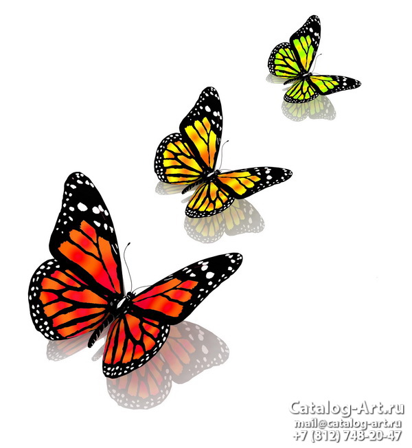  Butterflies 61